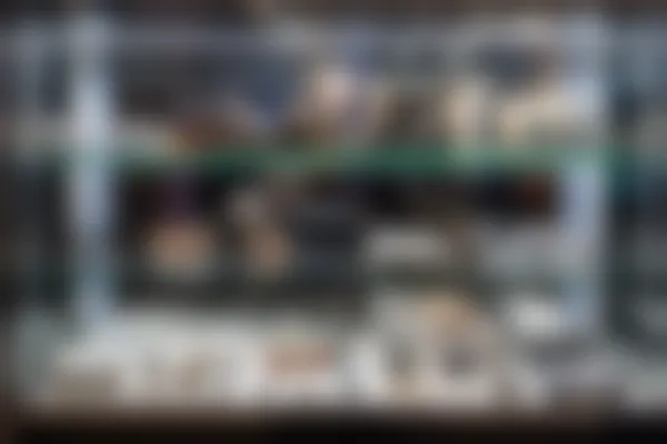 广州鸿视眼视光价格，医院简介及收费标准详细说明