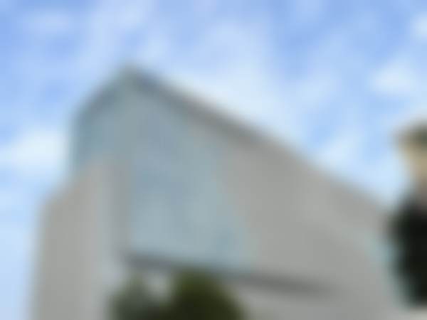 何虹医生简介项目优势