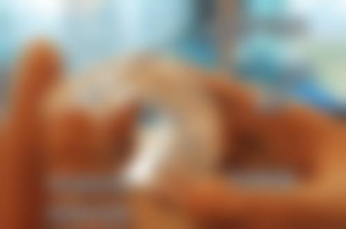 新邵大众芙蓉口腔门诊部怎么样医生团队实力如何