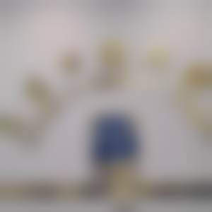 陈爱良医生简介医生顾客实例图片