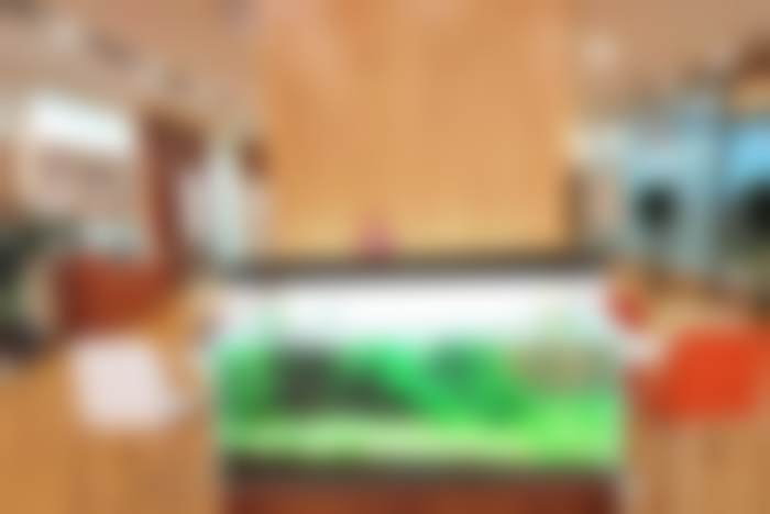 四、万柏林区太原维乐口腔医院怎么样——项目特色