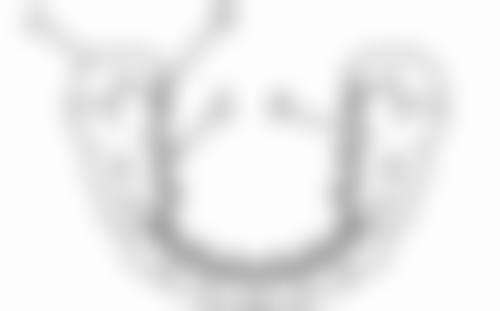 中山植德口腔门诊上班时间和地址在哪儿?