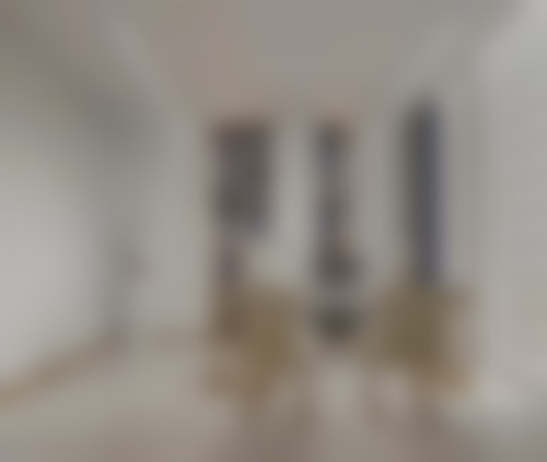 郑州百禾植发医生专精度