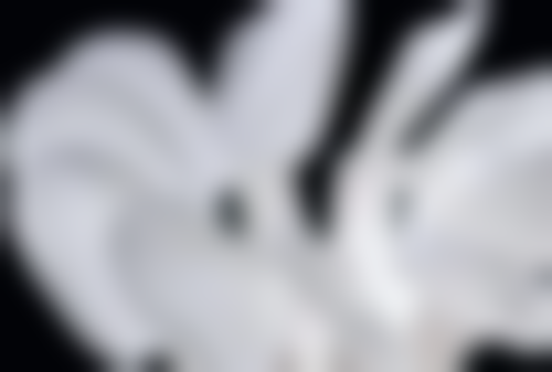 什么叫半口种植牙齿之显著优势展现