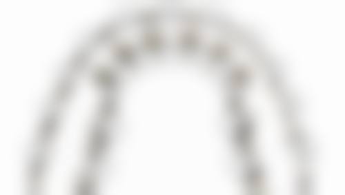 韩见进医生简介项目优势