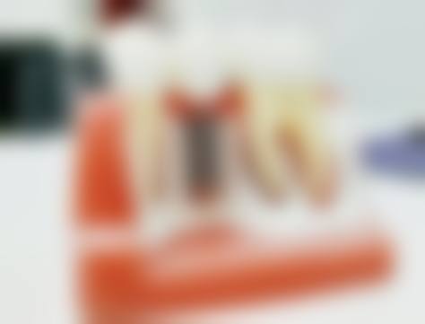 深圳正夫口腔医院（水贝IBC店）的医生团队