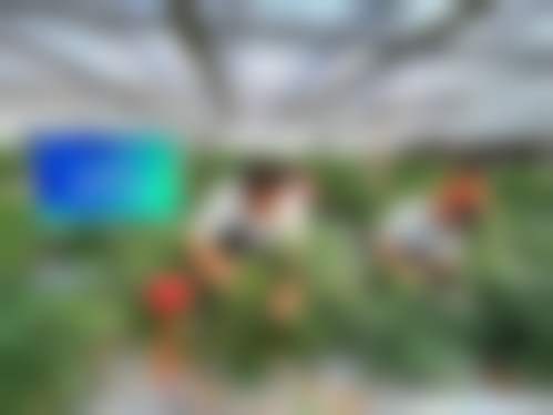 深圳御齿口腔门诊部基本情况