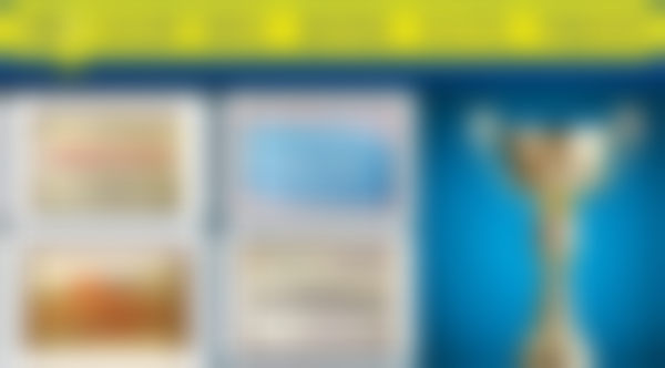 魏巍医生简介项目优势