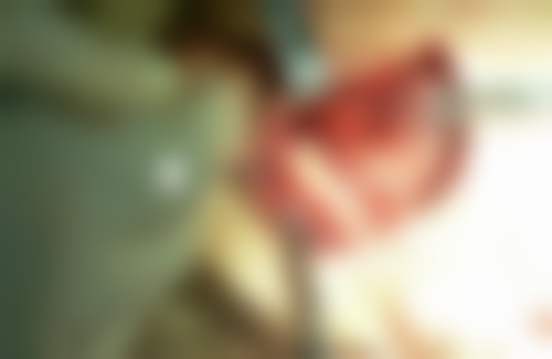 吉林松原市前郭县瑞博口腔医生简介