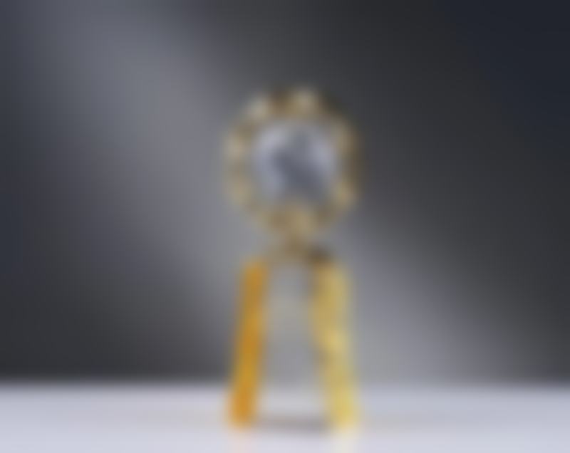 斯温/Sven医生做手术价格