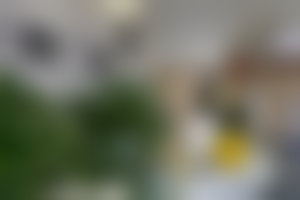 极高性价比——29.9 元起的超值体验