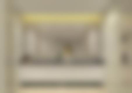 新城区韩昭平主攻项目是什么——新城区十四运建筑物外立面整治项目探究