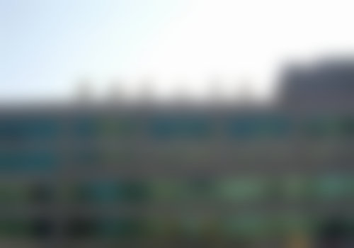 丁园李