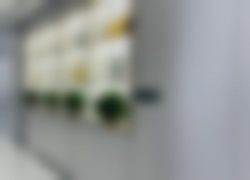 嘉兴麦芽口腔门诊部（秀洲店）嘉兴麦芽口腔荣誉架