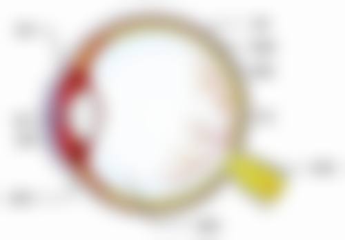优惠活动详情：性价比与质量并存