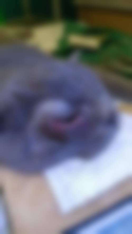 服务流程与预约——便捷就诊体验