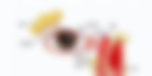 优惠活动详情
