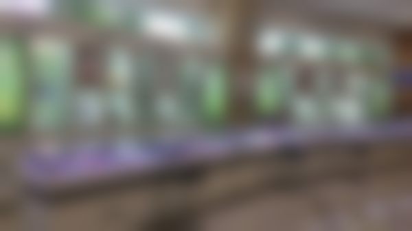 医院资质与实力